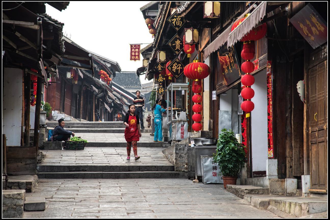 动物帮帮忙保卫家园